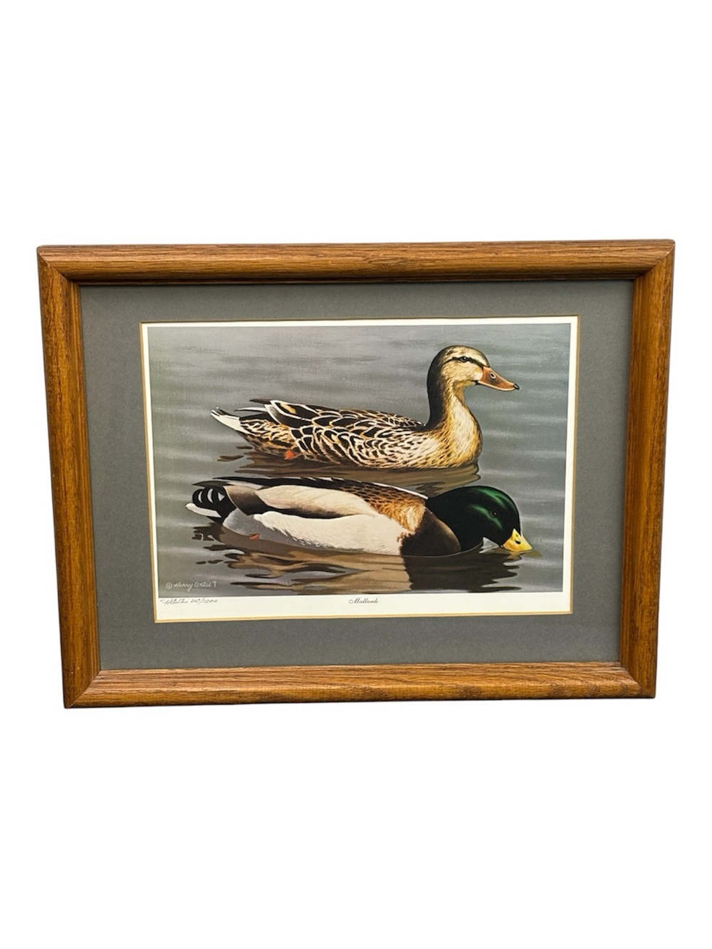 Harry Antis "Mallards" Signed Limited Edition Print 203/5000 Framed Ducks Art